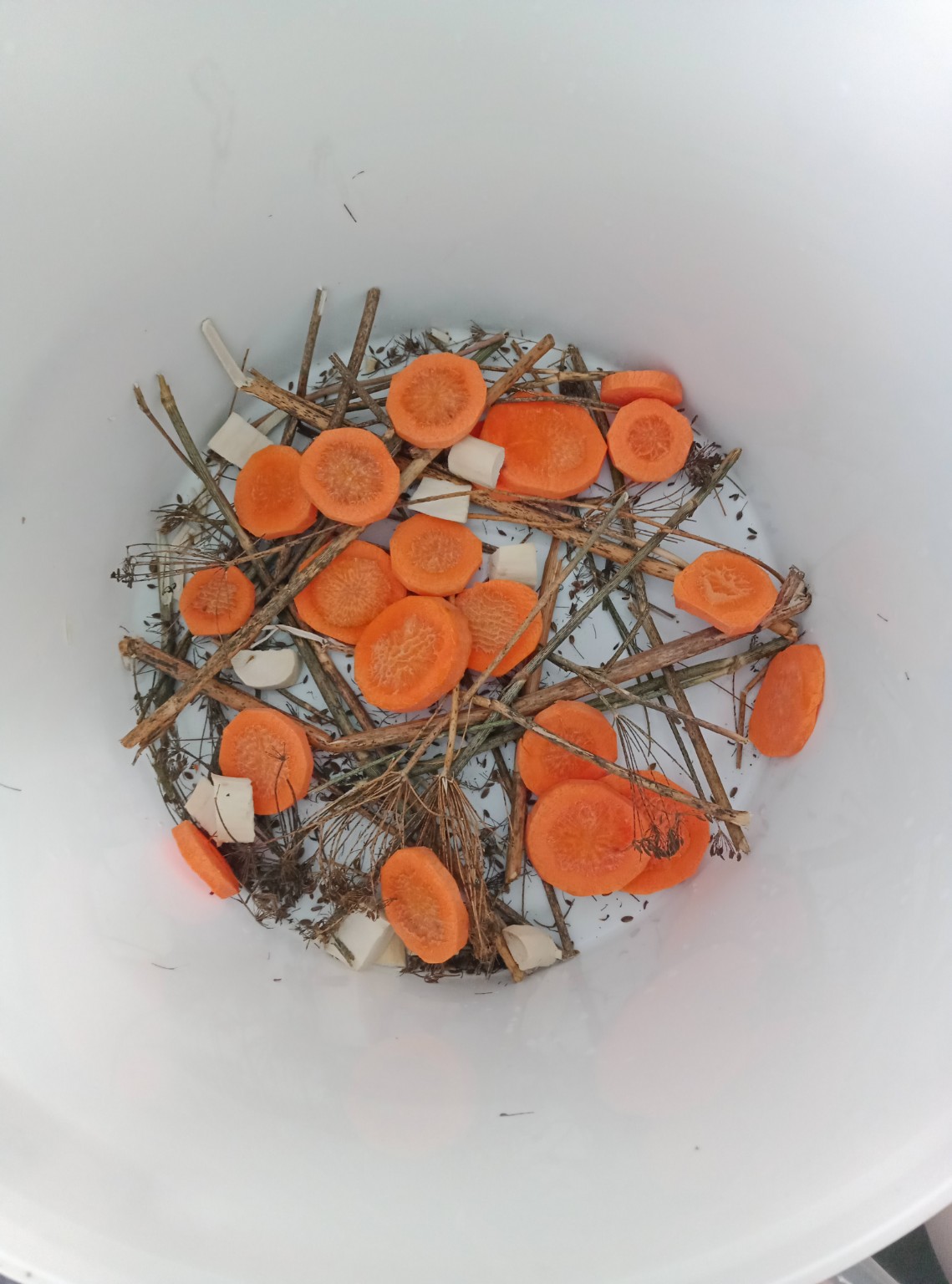 Preparare castraveți