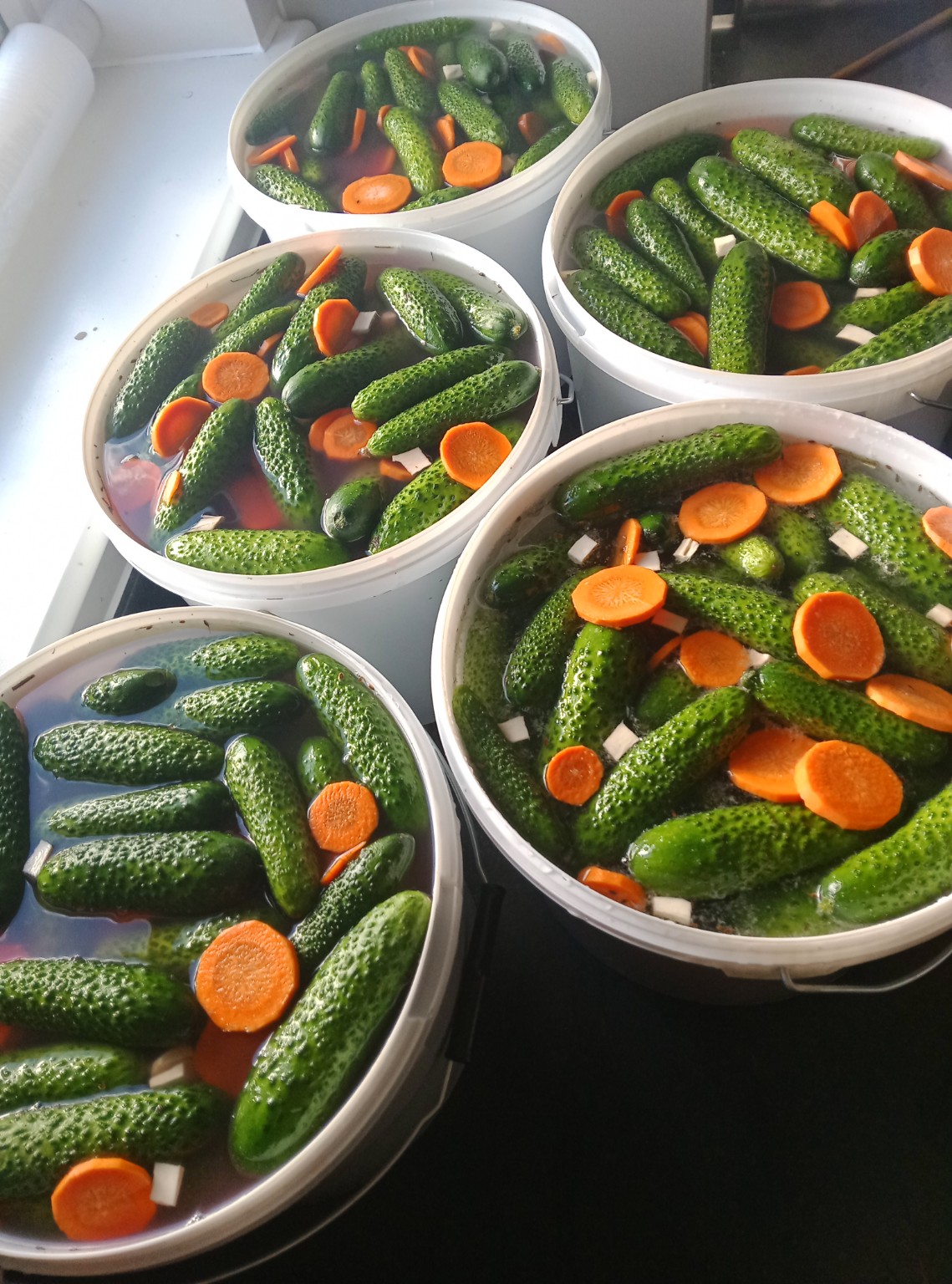 Preparare castraveți 2